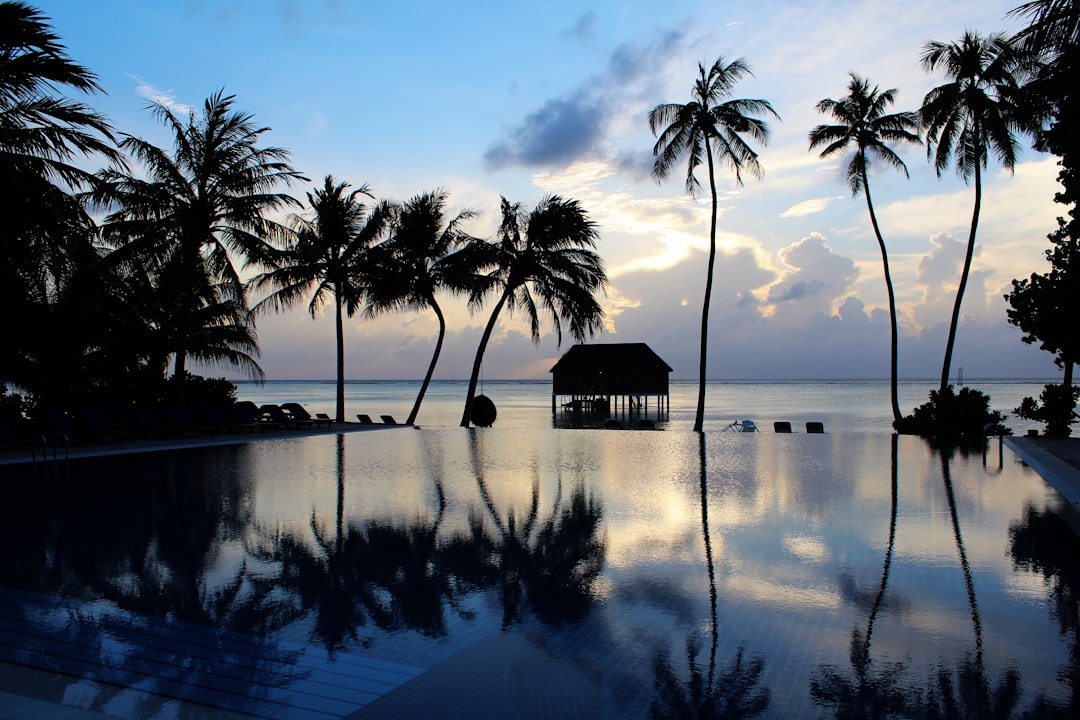 Tropical resort pool with palms and ocean view at sunset